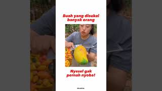 BUAH KESUKAAN BANYAK ORANG | KAMU TERMASUK GAK? | BUAH MANGGA SEGAR | #fruit #002