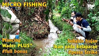 micro fishing || mancing wader sehabis hujan || ikan pada kelaparan #microfishing #mancingwader