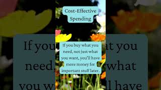 Cost Effective Spending