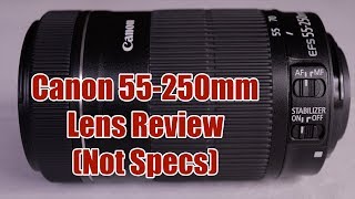 Canon 55-250mm Review | Great Beginner Telephoto Lens