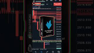 City Gold Hunter Pro X2 EA MT4 FREE DOWNLOAD الاكسبرت الأكثر ربحا في الفوركس