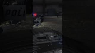 The cops on gta are crazy