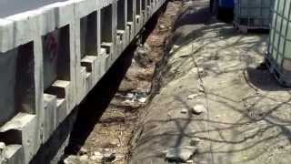 Elevated Highway Repair and Reinforcement with Shotcrete