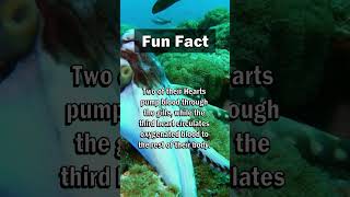 Fun Fact: 🐙🫀 They What?? #shorts #facts #nature #viral #ocean #octopus