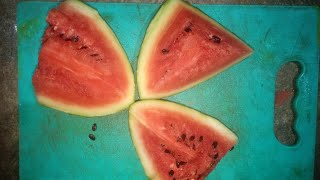 ତରଭୁଜ 🍉 Watermelon by Bachlore Kitchen