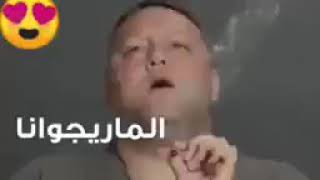 البانجو ... له عده فوائد كثيره وليس مضرا 😍