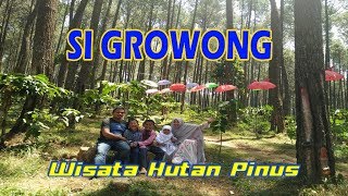 Hutan Pinus Sigrowong Temanggung