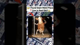 😱I Found Giant Weird Place Cow In Real life!?🤯On Google Earth Universal S2z🌎#maps #earth #shorts