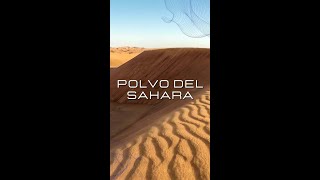 ¿Qué es el polvo del Sahara? ¿De dónde viene y cómo llega a nuestra región?