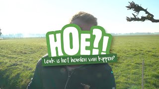 Hoe leuk is het houden van kippen? | HOE?! | Welkoop