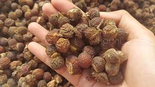 shampoo prepation with soapnuts