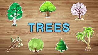 Trees Vocabulary in English