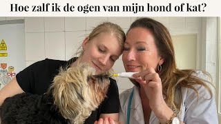 Hoe zalf ik de ogen van mijn hond of kat? | Instructievideo