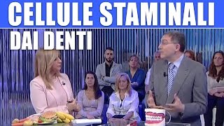 Dai denti una cura con le cellule staminali | PARODONTITE