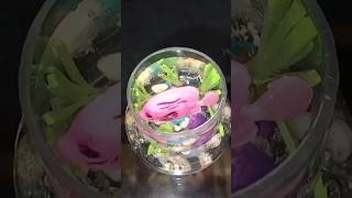 #how to make miniature fish aquarium#diy#toturial#doll miniature#ytshorts#viralvideo#ytshort#yt