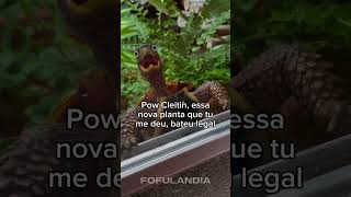 #animaisfofos #animais #animals #cuteanimals #fofo #funny #funnyanimals #animaisengraçados #animal