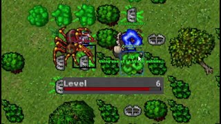 6 Level vs Giant Spider #tibia 2024