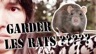 Comment se débarrasser des rats lorsqu'on a des poules ? je vous présente ma méthode