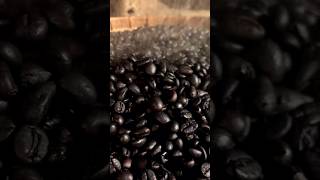 menikmati kopi Arabika di flores Bajawa #shortvideo #flores #ntt #floresta #kopi