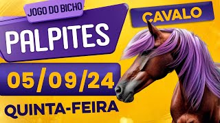 PALPITE DO DIA 05/09/2024 - JOGO DO BICHO 🍀 TODAS AS LOTERIAS 🍀