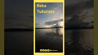 4K Nature Walk Near The Shores of Burera Lake - #TwendeButaro Trail - #IAmMugenzi