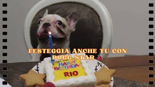 Torte Per Cani Dogg Star