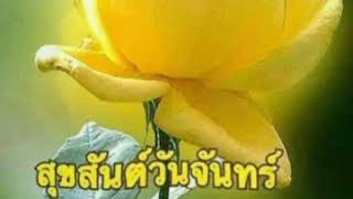 รักทรมาน-อรวี สัจจานนท์