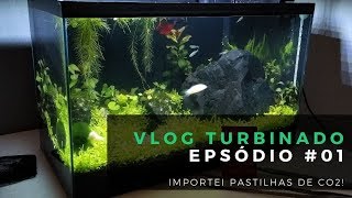 😎 Vlog 01: Importei Pastilha de CO2 para meu Aquário Plantado de 20 litros