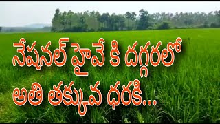 Land for sale|| Real Estate|| Paddy Land for Sale|| Paddy Land|| Royal Real Estate TV||