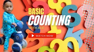 Basic Counting with Ace