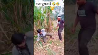 गन्ना चूसना है 🤣🤣🤣 #funny #comedy #trending #shorts #youtubeshorts #youtube #viralvideo #viralshorts