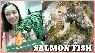 HOW TO COOK SINIGANG NA SALMON IN MALUNGGAY