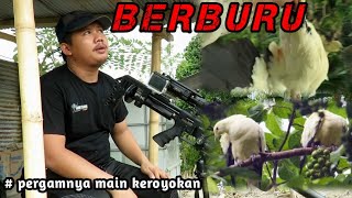 WOW....😲😲‼️ BERBURU PUNAI & PERGAM DI SPOT BARU// ASLI PERGAMNYA MAIN KROYOKAN😭😭