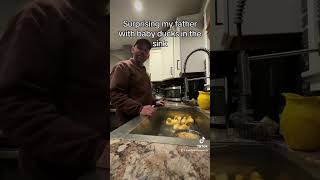 My dad didn’t see BABY DUCKS in the SINK! 🐥 #ducklings #ducks #homestead #raisingducks #offgrid