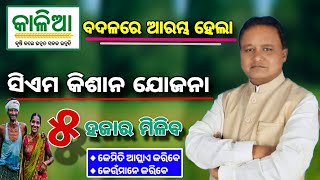 କାଳିଆ ଯୋଜନା ଟଙ୍କା ମିଳିବ ନୂଆ ରୂପରେ CM Kisan Yojana ।। Kalia yojana ।। Kalia yojana Odisha budget 2024