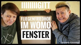 Tote Fliegen im WOHNMOBIL  Fenster | CAMPER SANIEREN