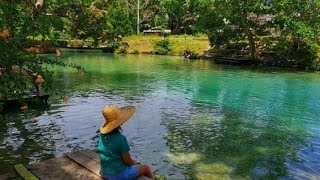 The Blue River Genyem Jayapura papua# (Papua Pilot Drone ).