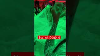 Boşnak Düğünü #düğün #bosnia #turkey #istanbul #shorts  #shortvideo  #viralshorts  #america #europe