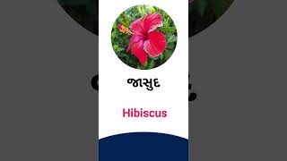 Hibiscus meaning in Gujarati - English dictionary