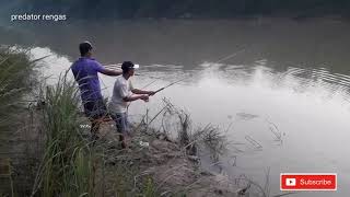 The big fish flies || ikan kakapnya terbang