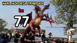 KIRAB BUDAYA HARI JADI DESA TRIWIDADI PAJANGAN BANTUL KE 77