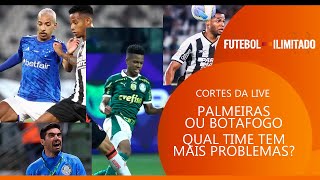 QUAL É A MAIOR DIFERENÇA ENTRE PALMEIRAS E BOTAFOGO HOJE VISANDO A LIBERTADORES?