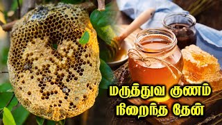 ஆரோக்கியம் அதிகம் தரும் தேன் /  Care To Cure