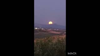 #lunallena naciente de agosto. #montalban  #campiñacordobesa. #andalucia. #august rising #fullmoon.