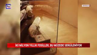 İKİ MİLYON YILLIK FOSİLLER, BU MÜZEDE SERGİLENİYOR