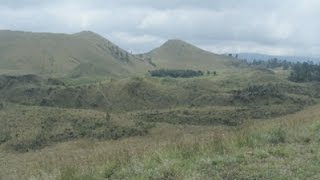 KEUNIKAN KEBUN KOPI DI HUTAN DAN KEINDAHAN KAWAH WURUNG