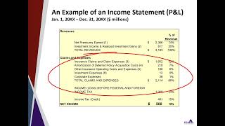 Insurance Carrier Income Statement