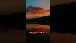 حالات وتس آب موسيقة هادئة