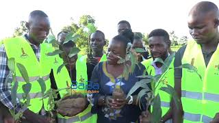 Abavubuka ku Matwikira ga Kyabazinga Ag'omwaka guno,Batongoiza Okusimba Emiti Mu Busoga