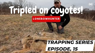 coyote trapping during there breeding season ( 3 coyote day)